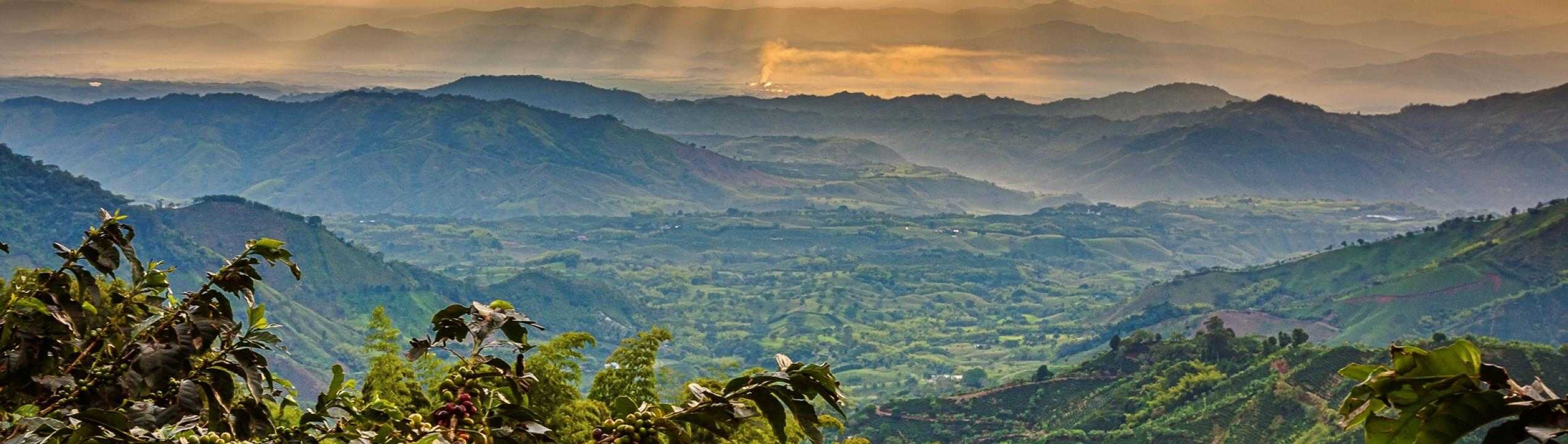 nestle professional sustenabilitate