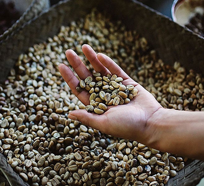 Кавові зернята у руці